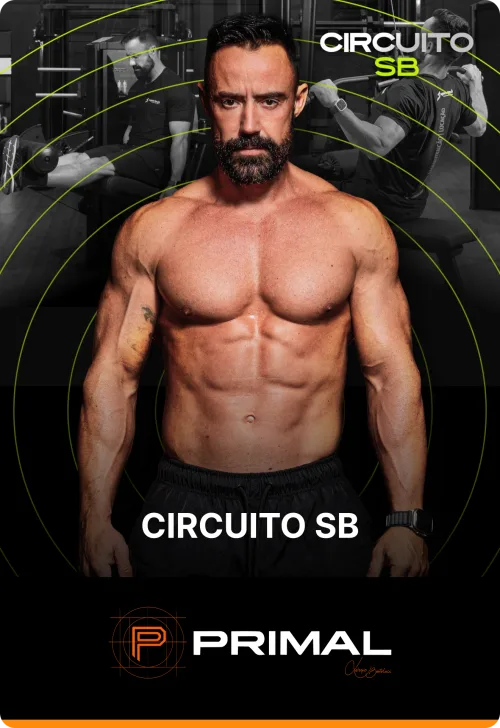 Circuito SB